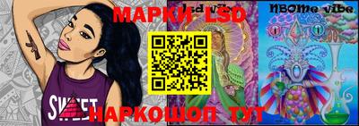 прущие грибы Новозыбков