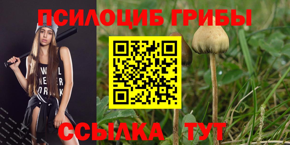 Соликамск  Галлюциногенные грибы Magic Shrooms  Вход с VPN 